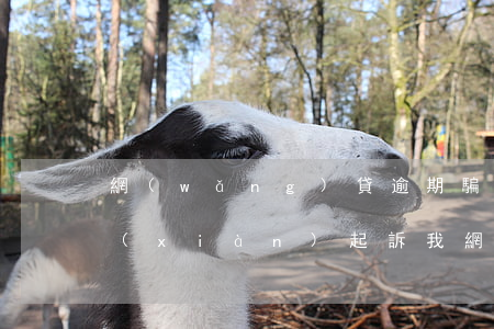 網(wǎng)貸逾期騙貸被發(fā)現(xiàn)起訴我(網(wǎng)貸逾期騙貸被發(fā)現(xiàn)起訴我)