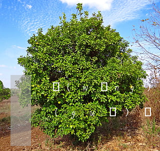 網(wǎng)貸逾期騷擾上班公司(在正規(guī)網(wǎng)貸公司逾期了怎么辦)