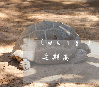網(wǎng)貸逾期高額(網(wǎng)貸逾期高額違約金和罰息合法嗎?)