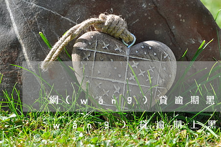 網(wǎng)貸逾期黑名單怎么查詢(網(wǎng)貸逾期上黑名單)