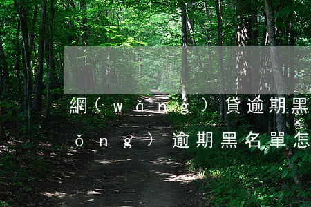 網(wǎng)貸逾期黑名單查詢系統(tǒng)(逾期黑名單怎么查詢)
