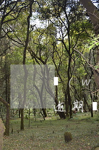 網(wǎng)貸遇期信用卡沒(méi)逾期(網(wǎng)貸逾期了信用卡沒(méi)有逾期)