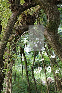 網(wǎng)貸遇見暴力催收怎么辦(網(wǎng)貸暴力催收騷擾家人違法嗎)