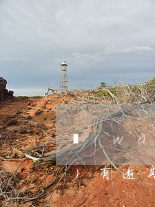 網(wǎng)貸過(guò)沒(méi)有逾期影響考公務(wù)員嗎-
