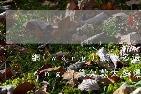 網(wǎng)貸過多還不上怎么辦(網(wǎng)貸欠款太多還不上怎么辦)