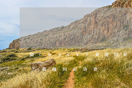網(wǎng)貸違約起訴地(網(wǎng)貸違約起訴地)
