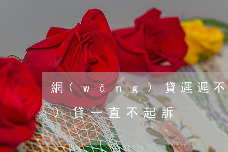 網(wǎng)貸遲遲不起訴 網(wǎng)貸一直不起訴