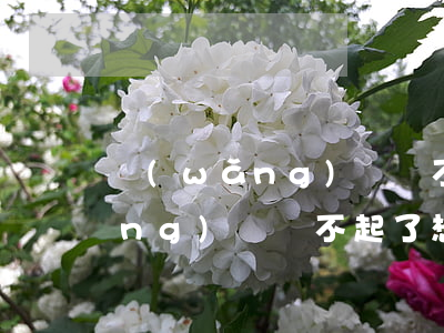 網(wǎng)貸還不上不想活了(網(wǎng)貸還不起了想死了算了)