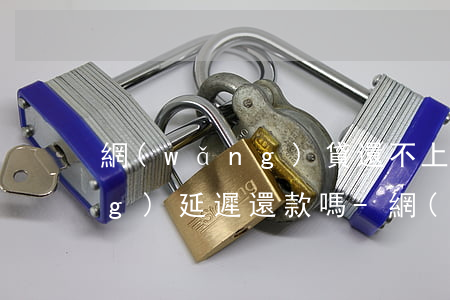 網(wǎng)貸還不上了能申請(qǐng)延遲還款嗎-網(wǎng)貸還不上可以申請(qǐng)延期嗎