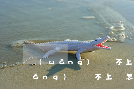 網(wǎng)貸還不上來怎么辦-網(wǎng)貸還不上來怎么辦