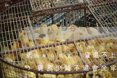 網(wǎng)貸還不上坐牢(網(wǎng)貸多少錢不還會坐牢)