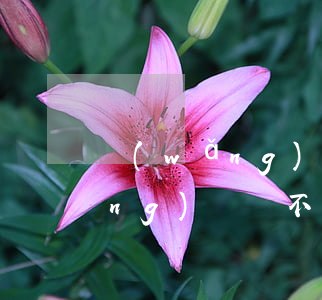 網(wǎng)貸還不上怎么處理(網(wǎng)貸還不上怎么處理)