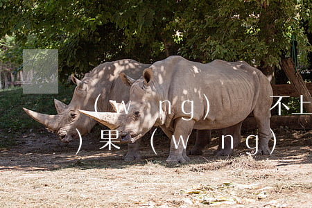 網(wǎng)貸還不上最壞的結(jié)果(網(wǎng)貸還不上最后怎么辦)