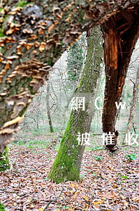 網(wǎng)貸還不上會(huì)怎樣被催收(網(wǎng)貸還不上會(huì)怎樣被催收)