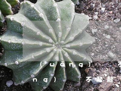 網(wǎng)貸還不上說要起訴(網(wǎng)貸還不起起訴的后果)