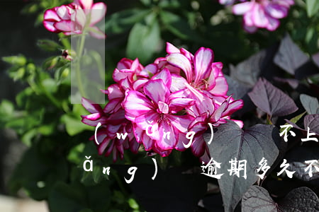 網(wǎng)貸還不上逾期了高鐵(網(wǎng)貸逾期多久不可以乘坐高鐵)