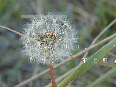 網(wǎng)貸還不上錢被起訴(網(wǎng)貸還不上被起訴了會(huì)坐牢嗎)