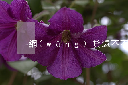 網(wǎng)貸還不不起怎么辦