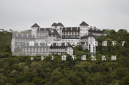 網(wǎng)貸還不了怎么處理(網(wǎng)貸不還怎么辦)