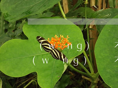 網(wǎng)貸還不了最后怎么解決-網(wǎng)貸還不了最后怎么解決,會不會沒收名下房產