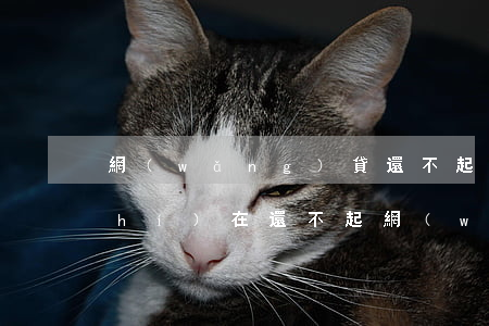 網(wǎng)貸還不起了該怎么辦(實(shí)在還不起網(wǎng)貸怎么辦)