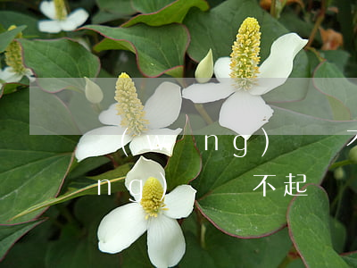 網(wǎng)貸還不起催款-欠網(wǎng)貸還不起