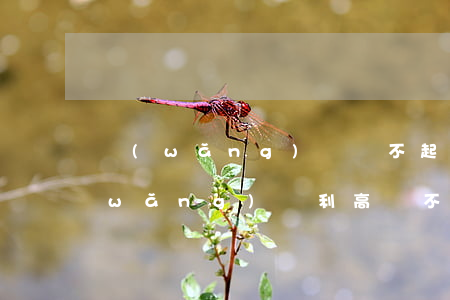 網(wǎng)貸還不起利息越來越高(網(wǎng)貸利高還不起怎么辦)