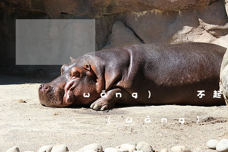 網(wǎng)貸還不起可以延長還款期限嗎-網(wǎng)貸還不起可以延長還款期限嗎怎么辦