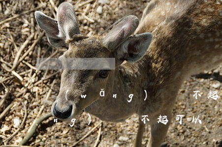 網(wǎng)貸還不起可以還嗎 網(wǎng)貸還不起可以還嗎