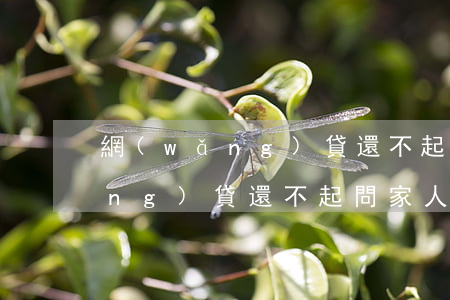網(wǎng)貸還不起問家人借(網(wǎng)貸還不起問家人借錢怎么辦)