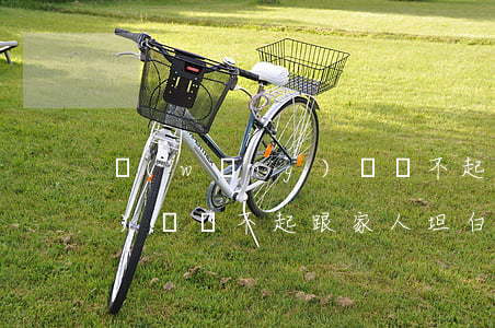 網(wǎng)貸還不起坦白(網(wǎng)貸還不起跟家人坦白)