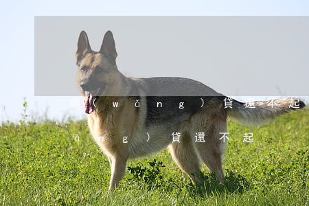 網(wǎng)貸還不起壓力大圖片(網(wǎng)貸 還不起)