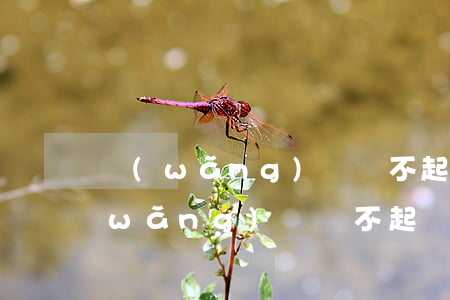 網(wǎng)貸還不起如何處理（瑤瑤網(wǎng)貸還不起）