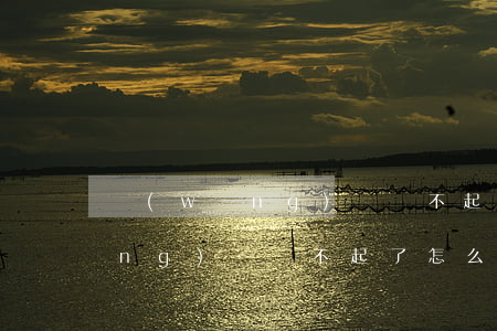 網(wǎng)貸還不起怎么樣辦(網(wǎng)貸還不起了怎么處理)