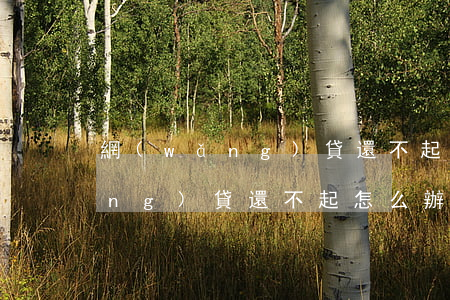 網(wǎng)貸還不起怎么辦啊(網(wǎng)貸還不起怎么辦啊)