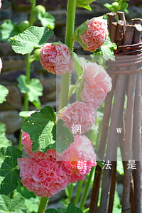 網(wǎng)貸還不起怎么辦最好的解決辦法是-網(wǎng)貸還不起怎么辦最好的解決辦法是南岸