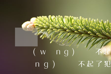 網(wǎng)貸還不起是個債務嗎(網(wǎng)貸還不起了犯法嗎)