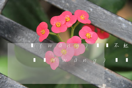 網(wǎng)貸還不起會(huì)起訴嗎（網(wǎng)貸還不起法院會(huì)起訴）