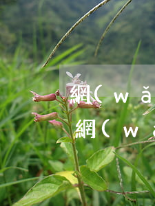 網(wǎng)貸還不起有啥辦法可以解決（網(wǎng)貸還不起有啥辦法）