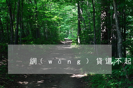網(wǎng)貸還不起犯法嗎