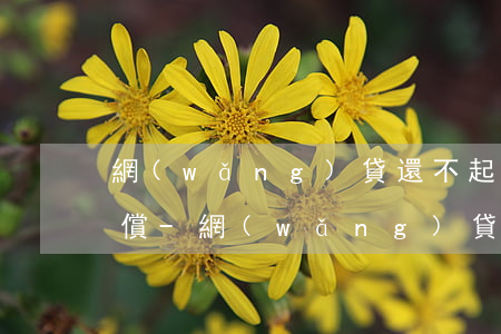 網(wǎng)貸還不起用身體補(bǔ)償-網(wǎng)貸還不起用身體補(bǔ)償在線