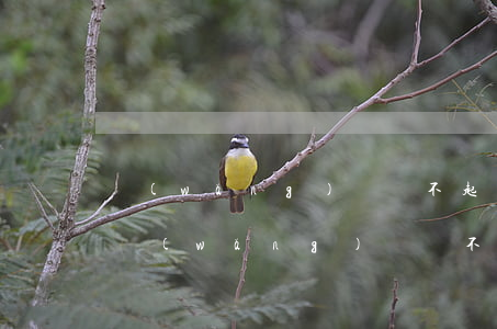 網(wǎng)貸還不起申請(qǐng)(網(wǎng)貸還不起不還了會(huì)怎么樣)