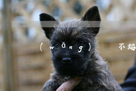 網(wǎng)貸還不起的人