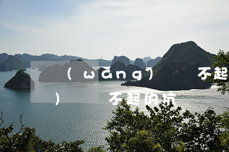 網(wǎng)貸還不起的坑（網(wǎng)貸還不起的坑）