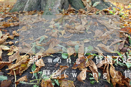 網(wǎng)貸還不起真實經(jīng)歷(網(wǎng)貸款還不起的真實案例)