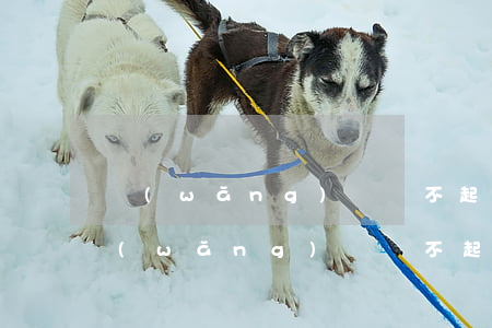 網(wǎng)貸還不起結(jié)果(網(wǎng)貸還不起結(jié)果)