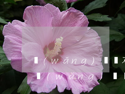 網(wǎng)貸還不起經(jīng)歷(網(wǎng)貸還不起怎么樣)