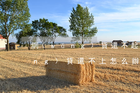 網(wǎng)貸還不起該怎么辦(網(wǎng)貸還不上怎么辦?)