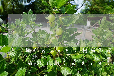 網(wǎng)貸還不起說惡意乇欠(無緣無故欠了網(wǎng)貸)