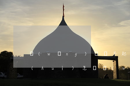 網(wǎng)貸還不起錢(qián)會(huì)怎樣 網(wǎng)貸還不起會(huì)怎么辦